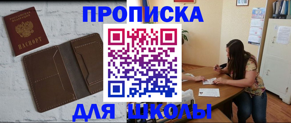 где прописаться в Бородино