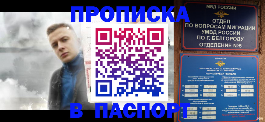 временная регистрация в Бородино